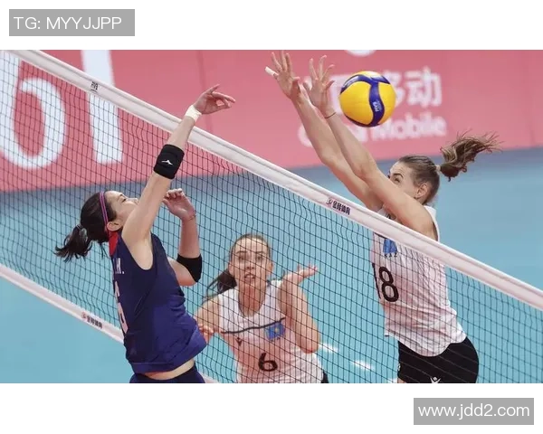 杭州排球队灵活性引发热议球迷与专家观点碰撞激烈